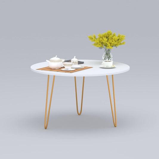 Anikaa Living Room Lounge Coffee Center Hairpin Legs Table MDF Marble White