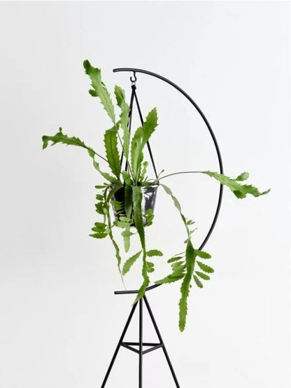 Flowerpot stand “Moon”