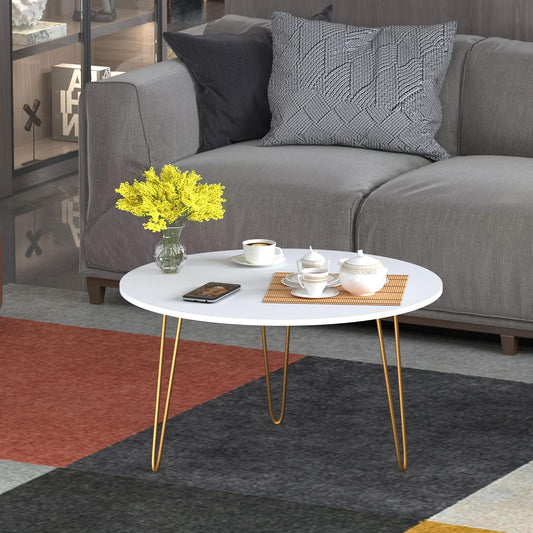 Anikaa Living Room Lounge Coffee Center Hairpin Legs Table MDF Marble White