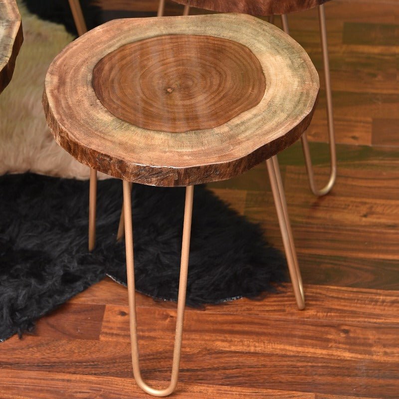 Billet Wooden Log Hairpin Table (Epoxy Build)