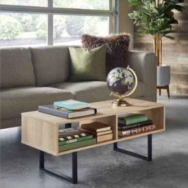 Larkie TV Console Storage Organizer Table Decor