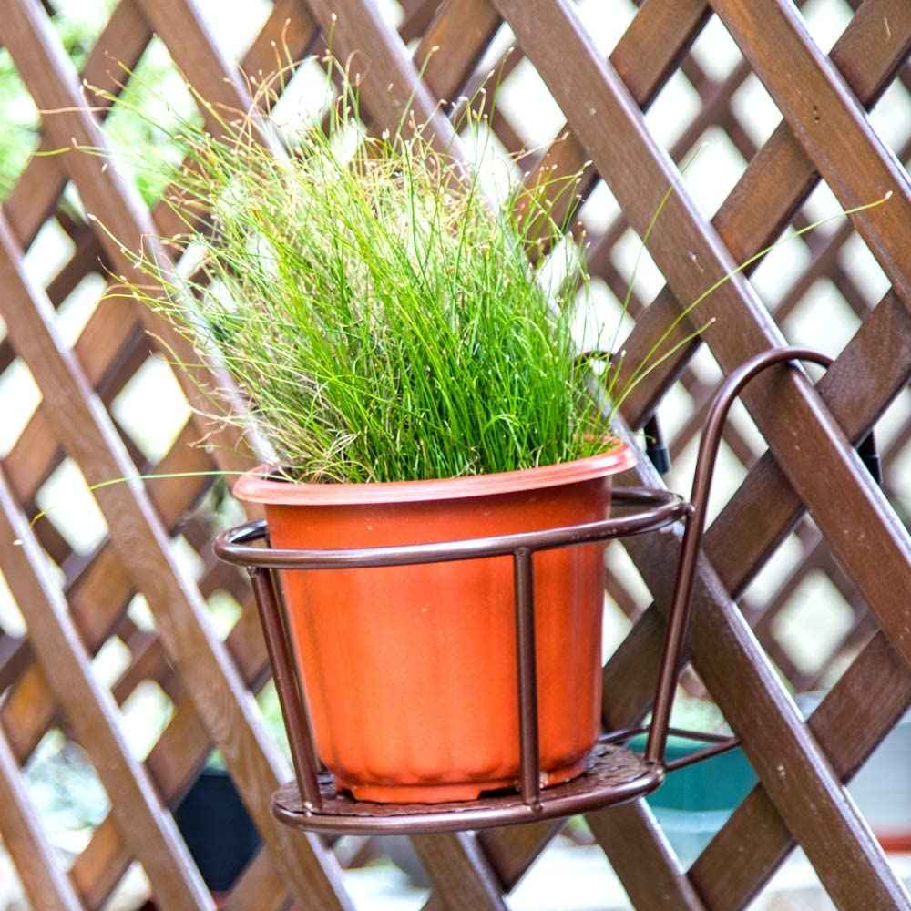 Wall Hanging Plant Stand