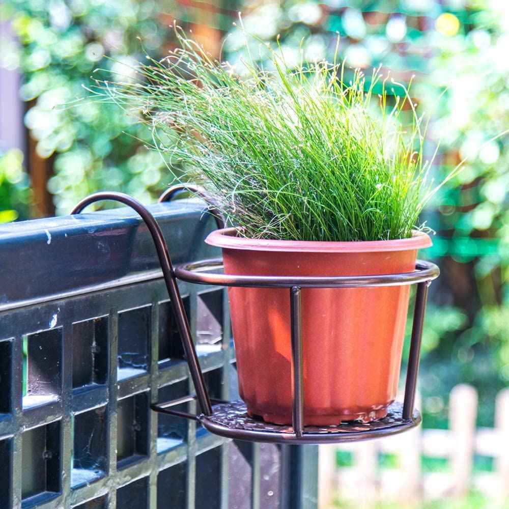 Wall Hanging Plant Stand